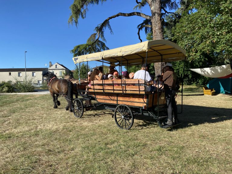 Une virée en calèche avec les 3/5 ans